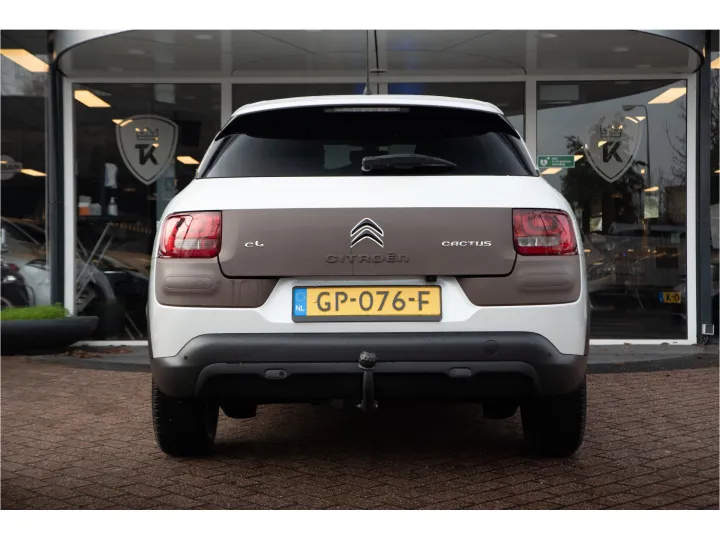 Citroën C4 Cactus 1.6 BlueHDi Business  Image 5