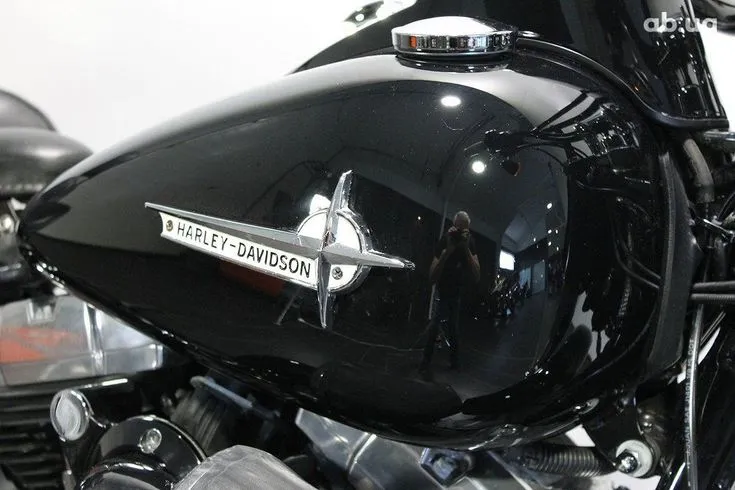 Harley-Davidson FLS Image 3